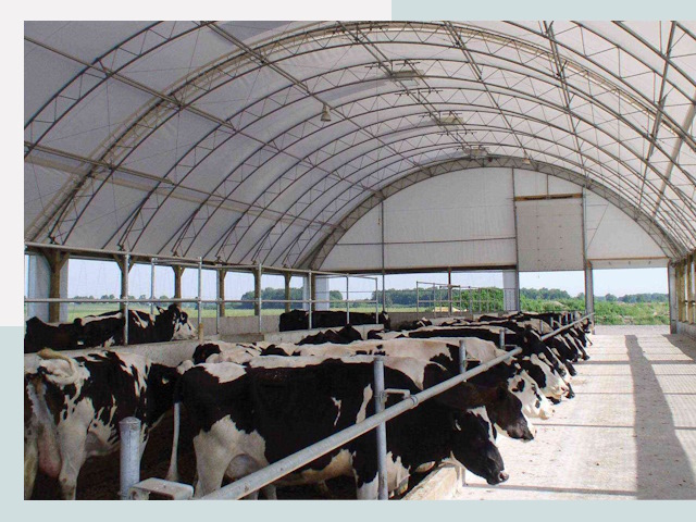 Тентовые коровники в Краснотурьинске